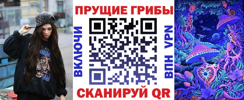 магазин продажи наркотиков  Лесозаводск  Галлюциногенные грибы Magic Shrooms 