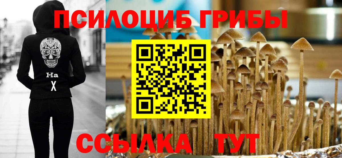 Галлюциногенные грибы прущие грибы  Вход с VPN  Лесозаводск 